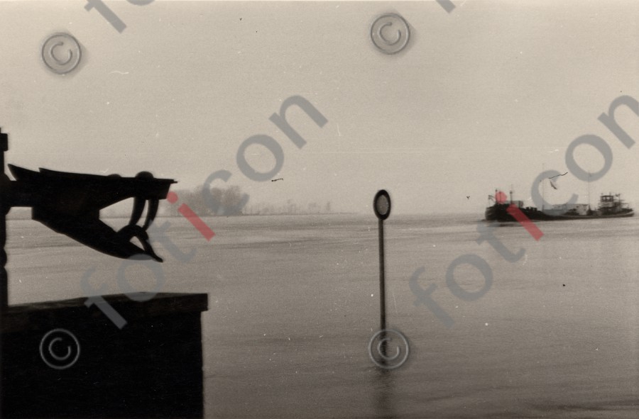 Frühjahrs-Hochwasser am Rhein VIII - Foto foticon-duesseldorf-0038.jpg | foticon.de - Bilddatenbank für Motive aus Geschichte und Kultur